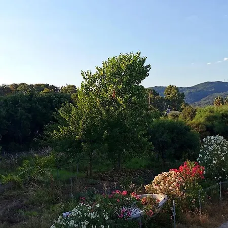 Maria's Hotel Agios Georgios (Corfu)